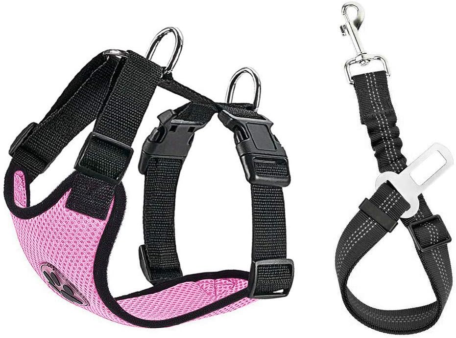 Adjustable Dog Harness and Strap
