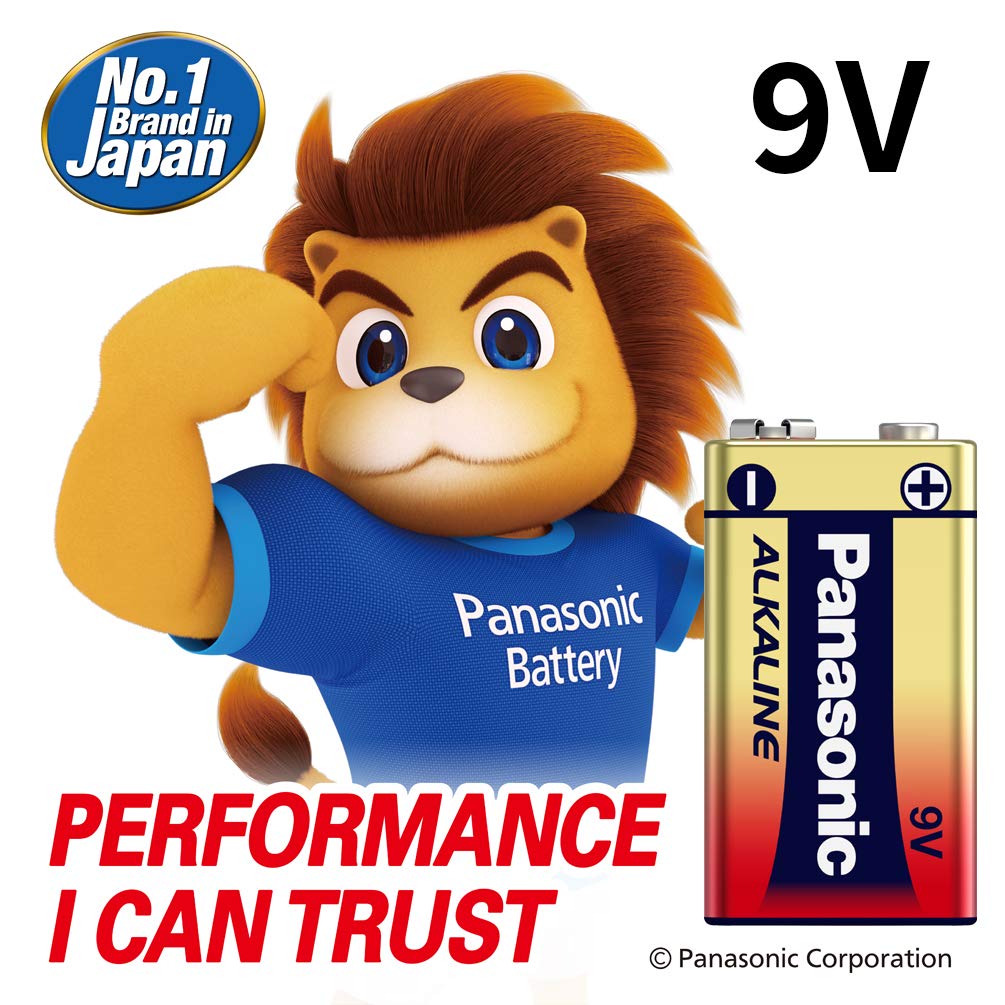 Panasonic Alkaline 9V Battery (1 Piece)