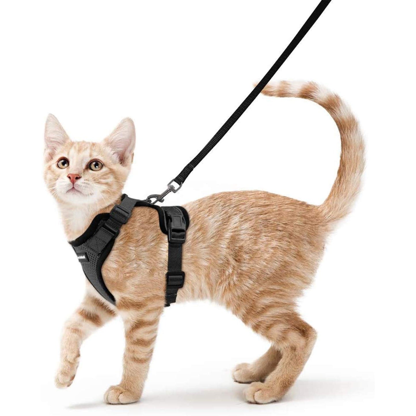 Cat Harness and Leash Set, Secure, Adjustable