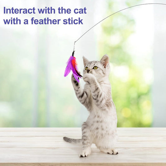 Cat Feather Toy, Interactive Play for Curious Cats
