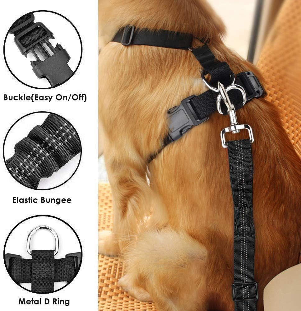 Adjustable Dog Harness and Strap