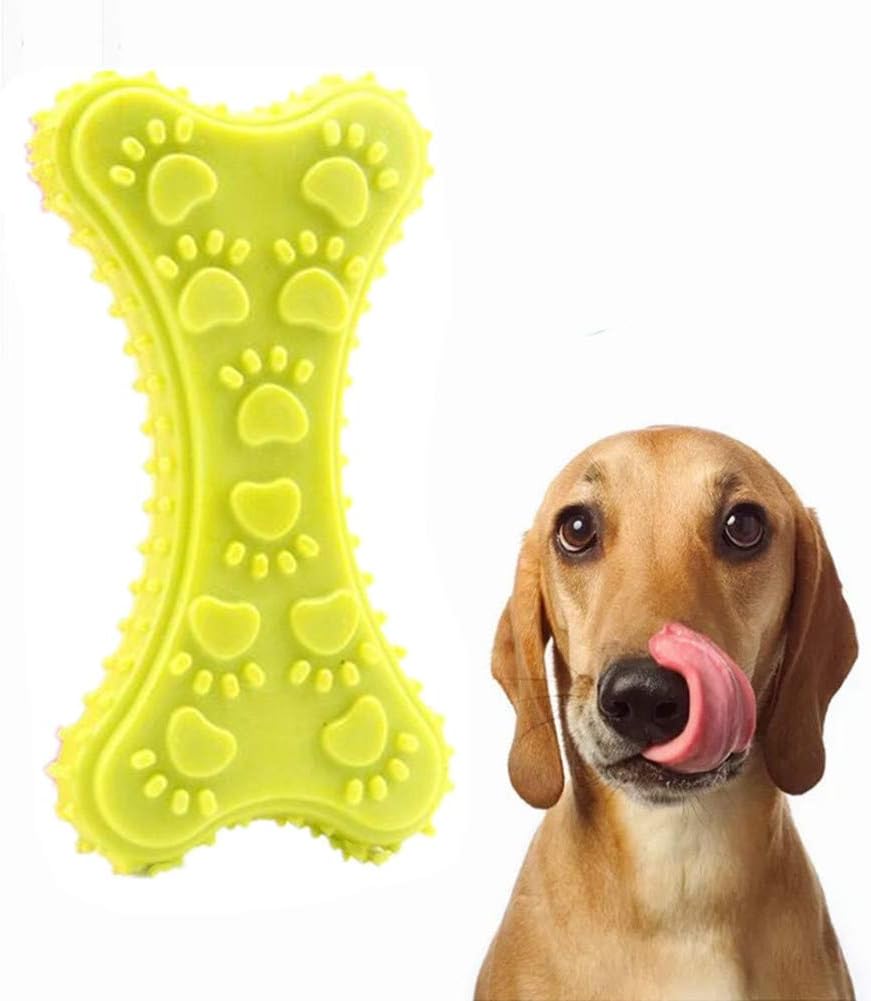 Dog with a yellow bone-shaped chew toy on a white background