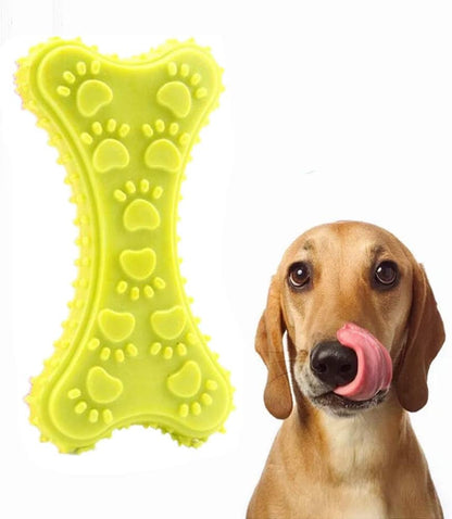 Dog with a yellow bone-shaped chew toy on a white background