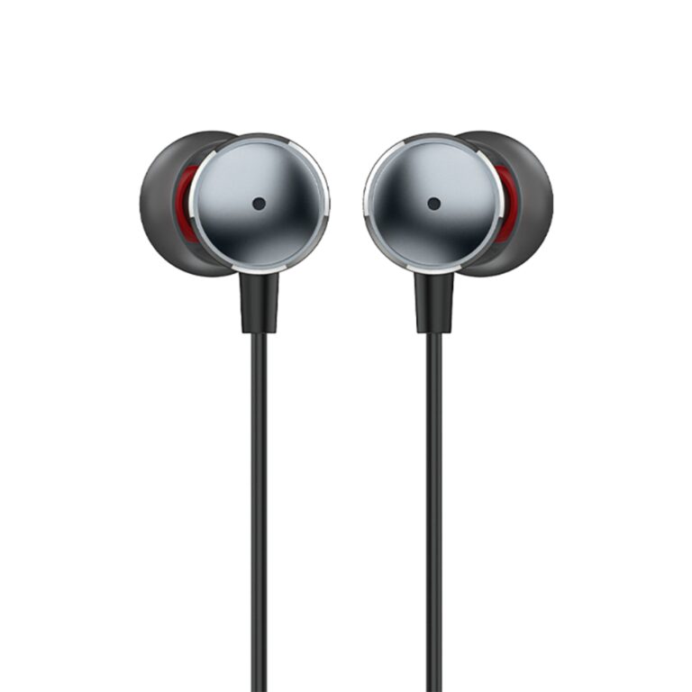 Pair of silver and black earphones on a white background