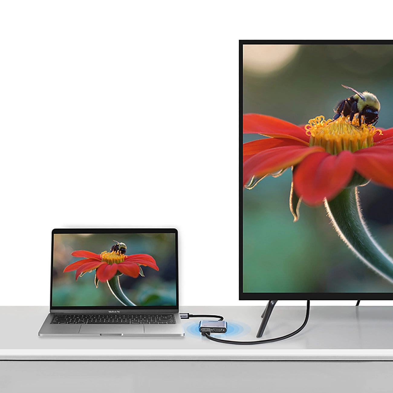 Laptop and monitor displaying a bee on a flower with a USB-C adapter between them.